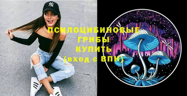 индика Абинск