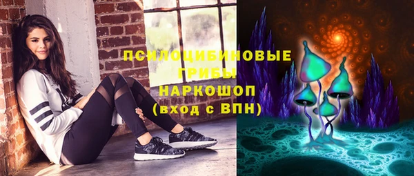 индика Абинск