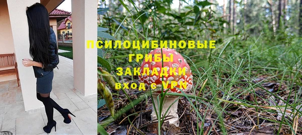 индика Абинск