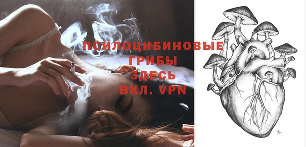 кокс Абаза
