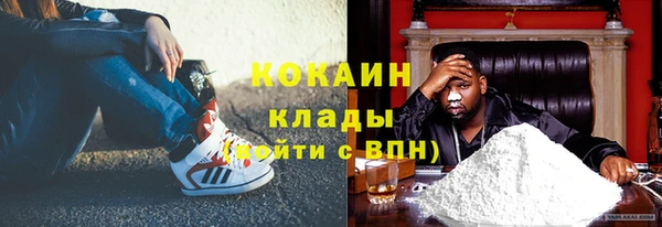 индика Абинск