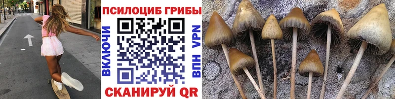 Галлюциногенные грибы прущие грибы Заринск